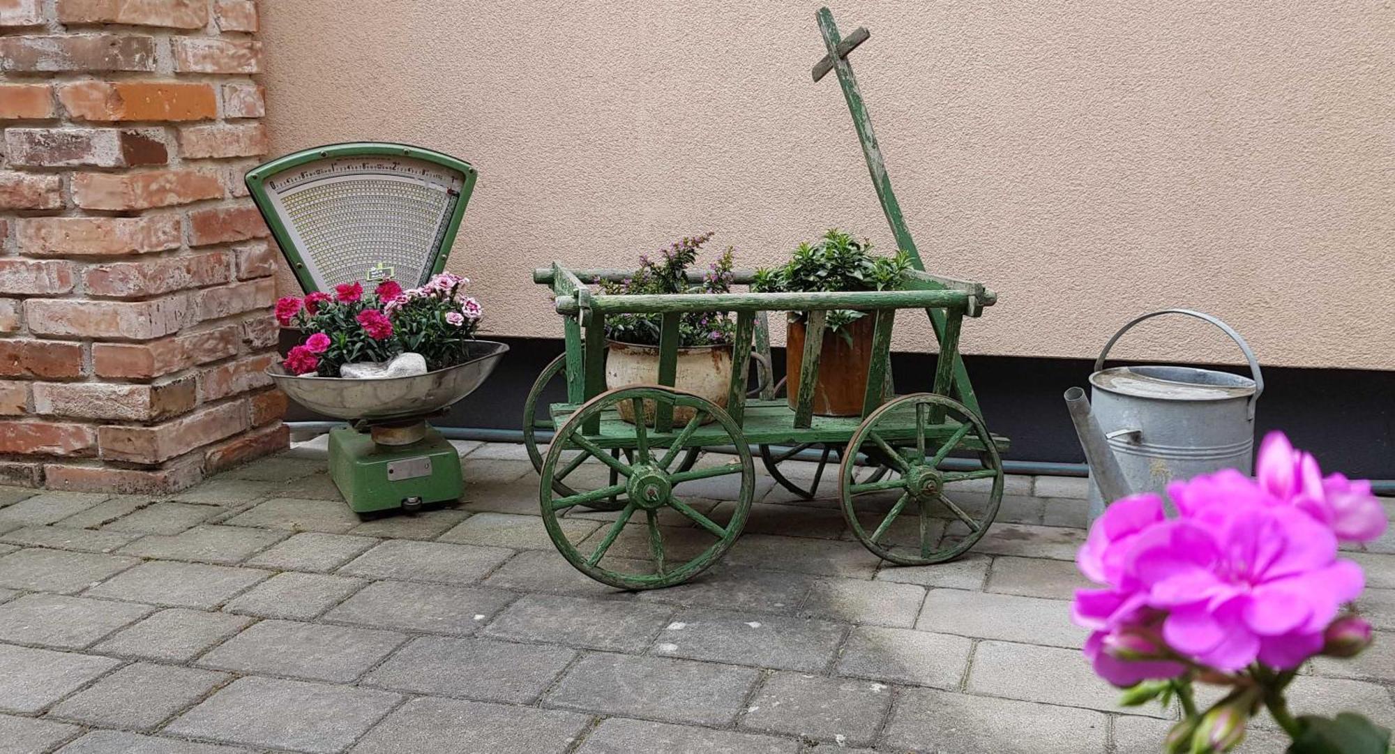 Ferienwohnungen _ Haus Lisa_ ゼンフテンベルク エクステリア 写真